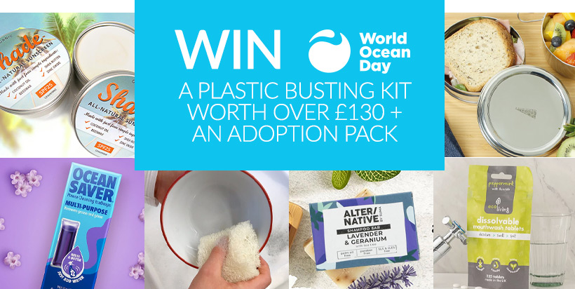 Win a Plastic Busting Kit worth over £130