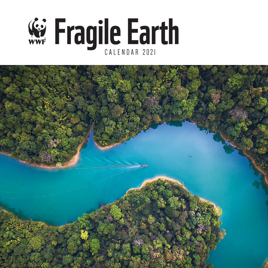 WWF Fragile Earth 2021 Wall Calendar - WWF