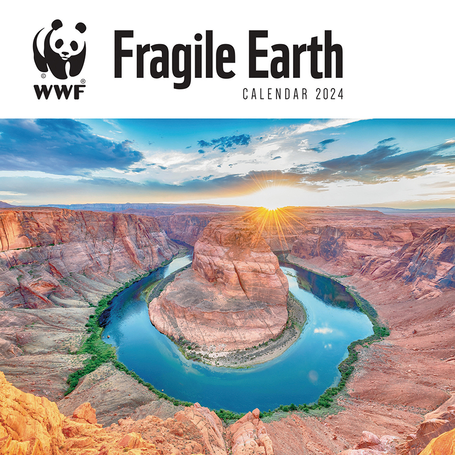 WWF Fragile Earth 2024 Wall Calendar WWF