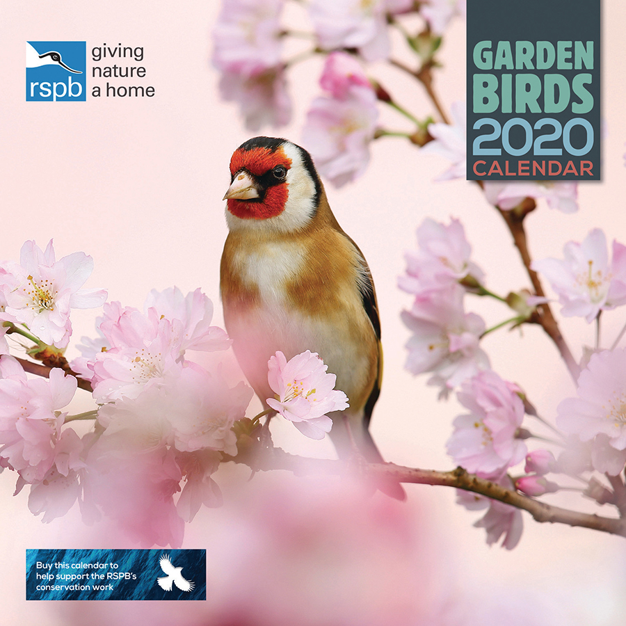 RSPB British Garden Birds 2020 Wall Calendar RSPB