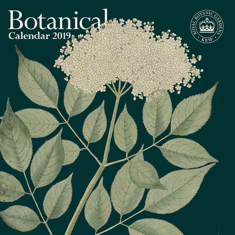 RBG Kew Botanicals 2019 Wall Calendar RBG
