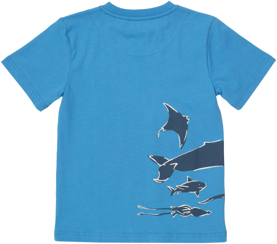 Kite Blue Whale T-Shirt - Kite Clothing - Ethical Superstore