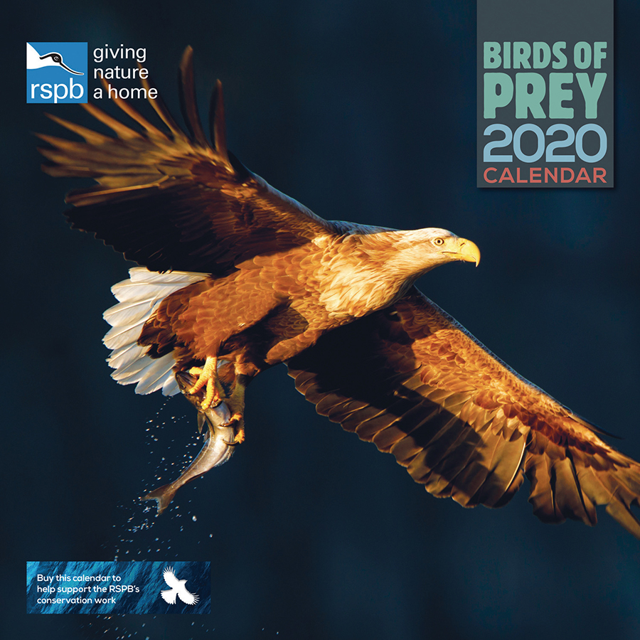 RSPB Birds of Prey 2020 Wall Calendar RSPB