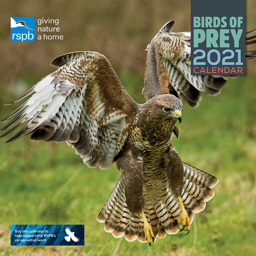 RSPB Birds of Prey 2021 Wall Calendar RSPB