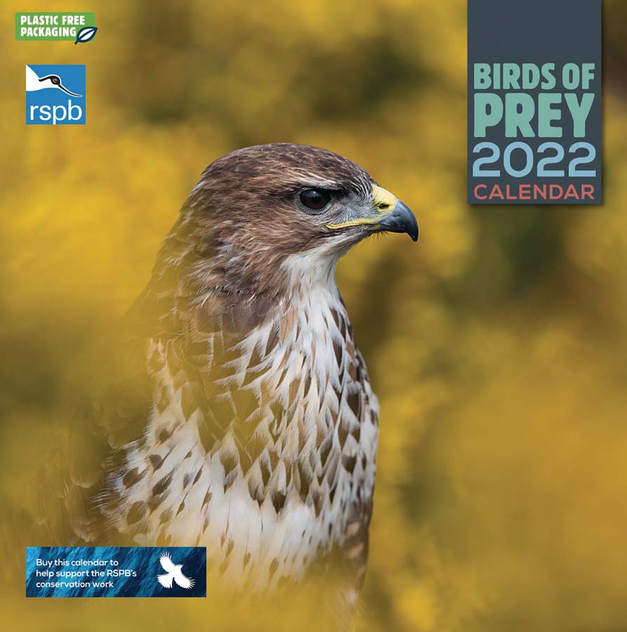 RSPB Birds of Prey 2022 Wall Calendar RSPB