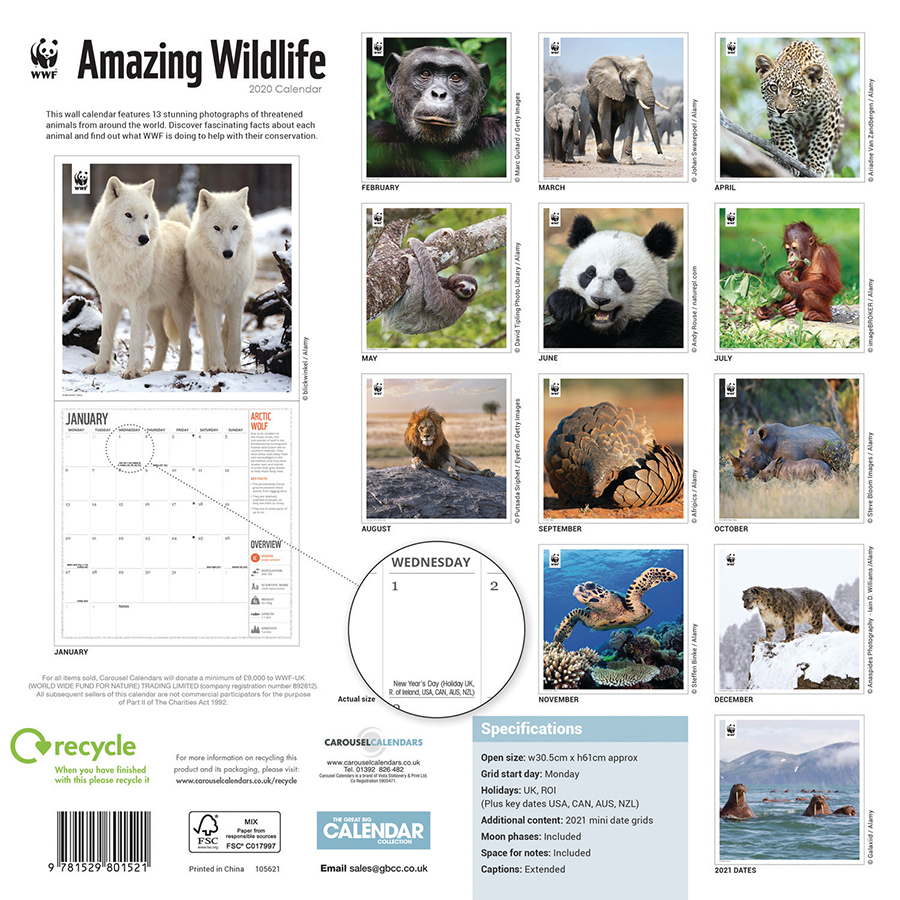 WWF Amazing Wildlife 2020 Wall Calendar WWF