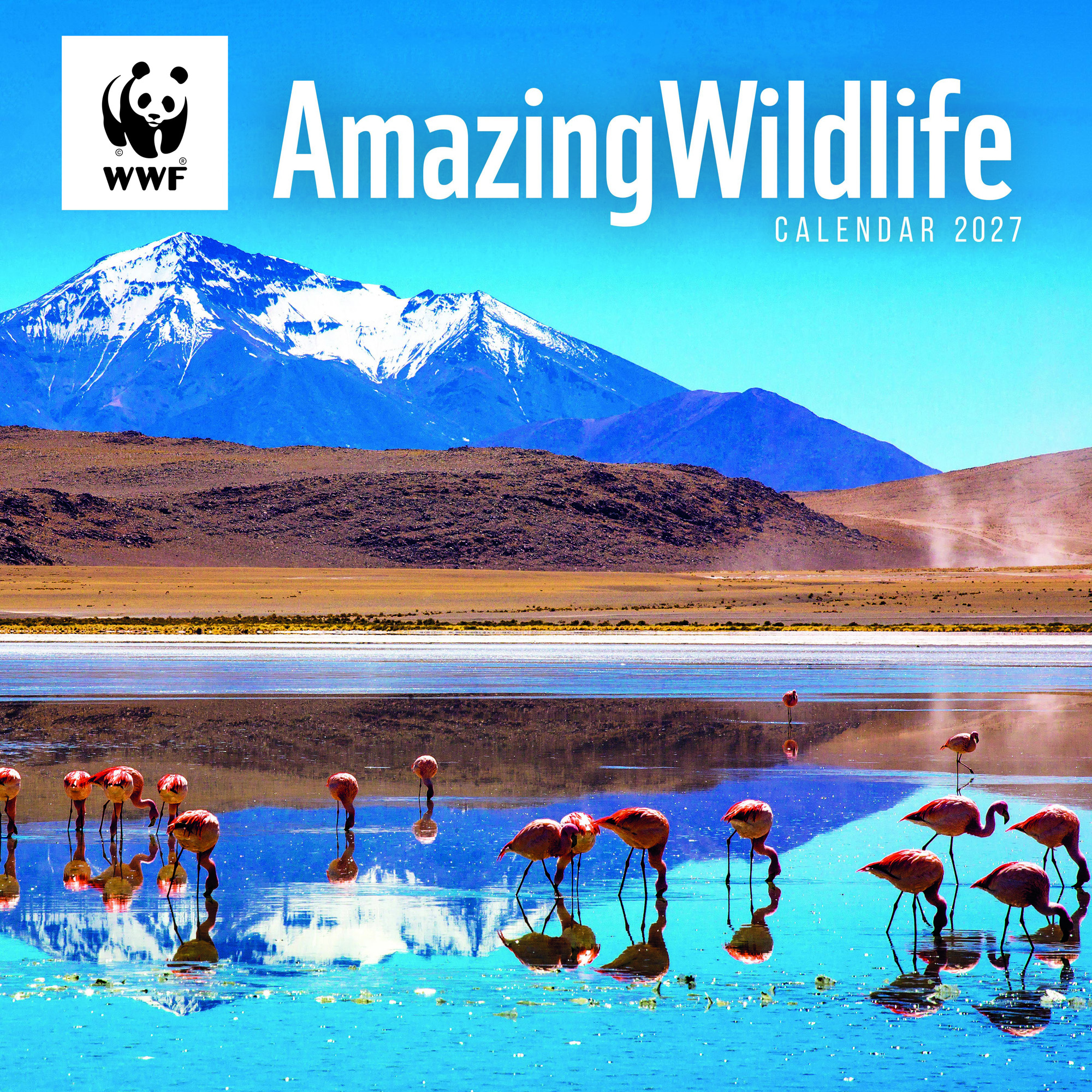 WWF Amazing Wildlife 2027 Wall Calendar