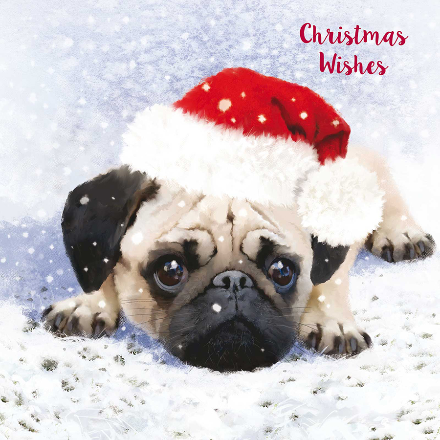 Cute Christmas Pug Luxury Mixed Charity Cards Pack of 10