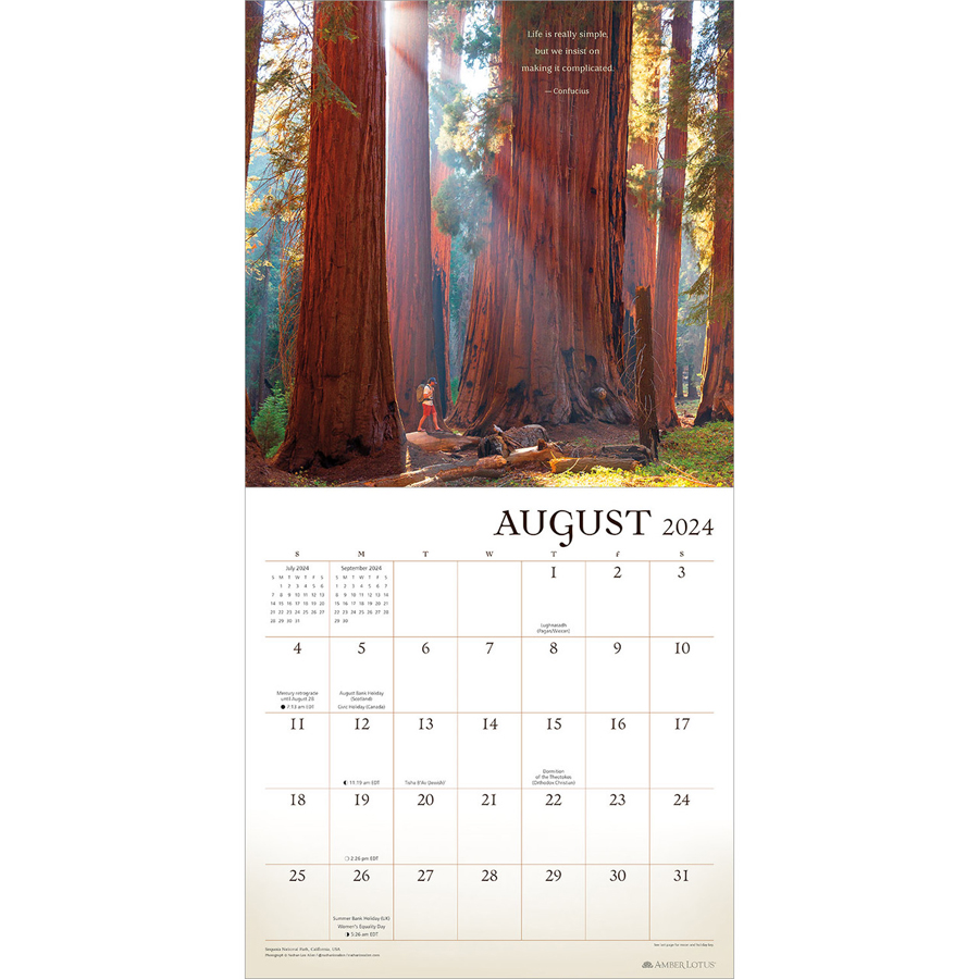 Wanderlust 2025 Wall Calendar Amber Lotus