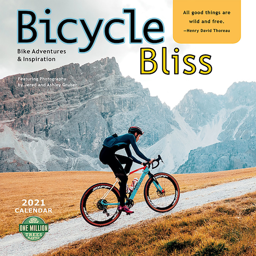 Bicycle Bliss 2021 Wall Calendar Amber Lotus