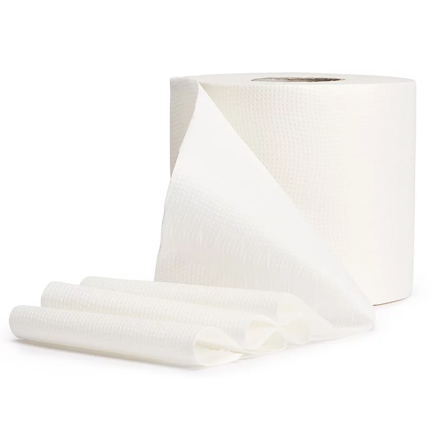 Bamboo Toilet Paper Hempur at a price of 9.99 lv. online 
