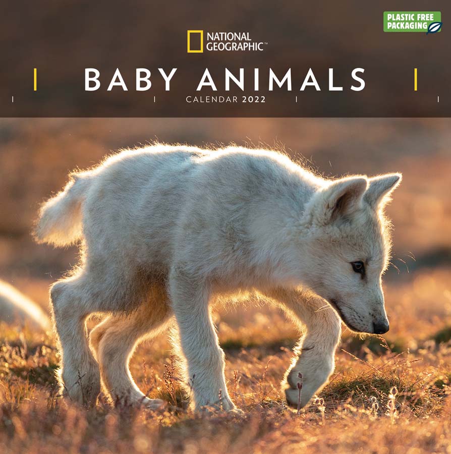 National Geographic Baby Animals 2022 Wall Calendar - National Geographic