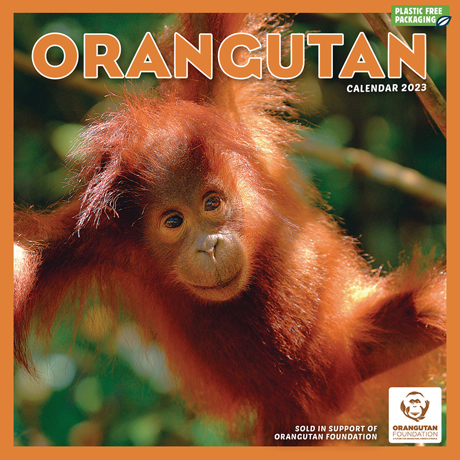 Orangutan Foundation 2023 Wall Calendar Orangutan Foundation