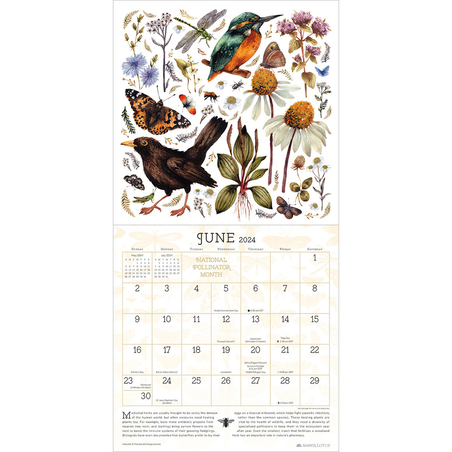 praise-for-the-pollinators-2024-wall-calendar-amber-lotus