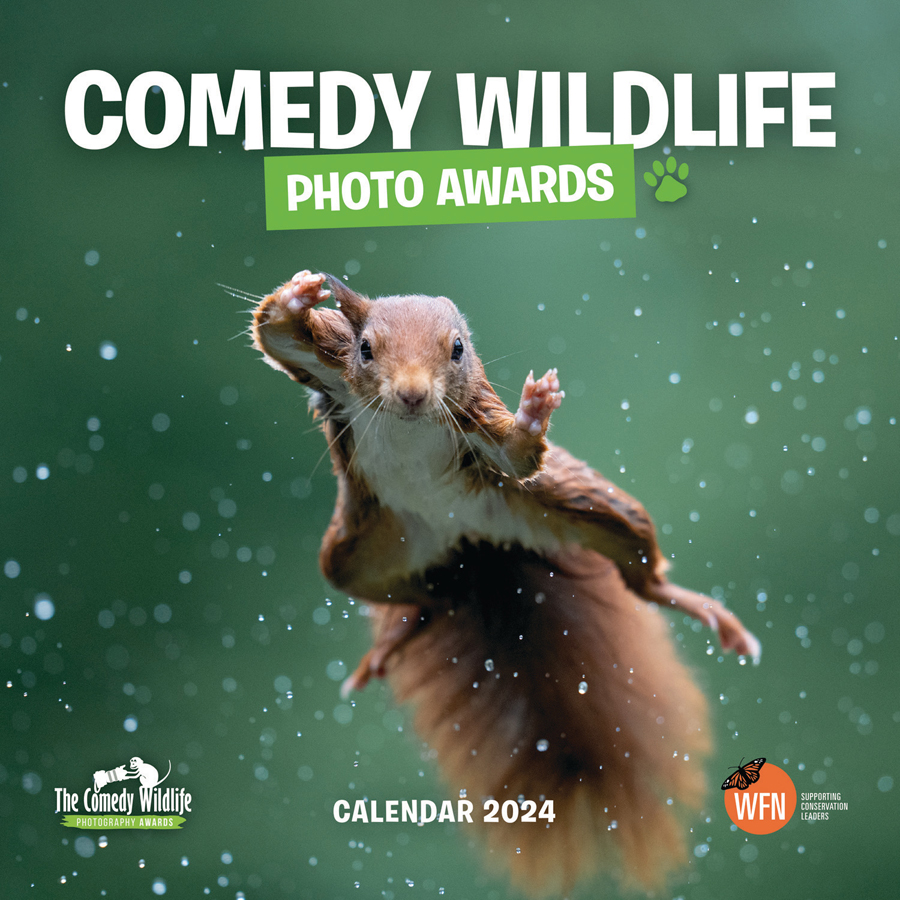 Comedy Wildlife Photography Awards 2024 Wall Calendar Natural