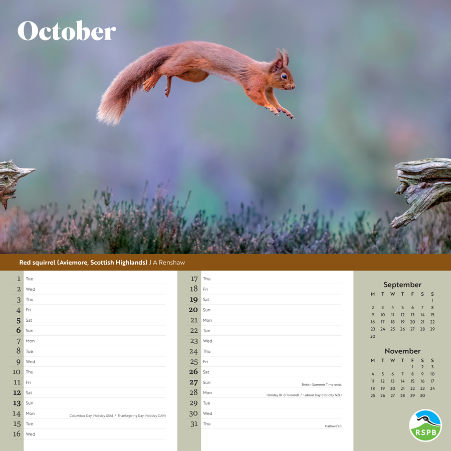 RSPB Inspiring Nature 2024 Wall Calendar RSPB