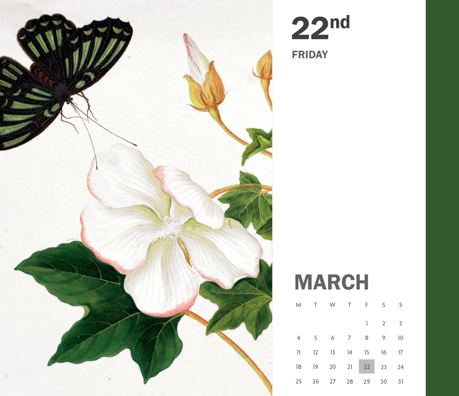Royal Botanic Kew Gardens 2024 Desk Calendar Kew Gardens