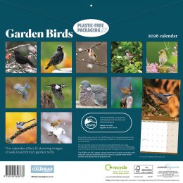 RSPB Garden Birds 2026 Wall Calendar