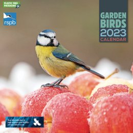 RSPB Garden Birds 2023 Wall Calendar