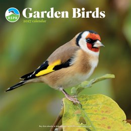RSPB Garden Birds 2027 Wall Calendar