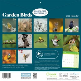 RSPB Garden Birds 2027 Wall Calendar
