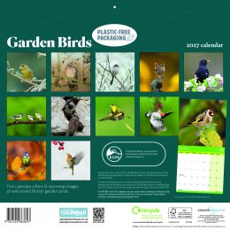 RSPB Garden Birds 2027 Wall Calendar