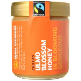 Equal Exchange Chilean Ulmo Blossom Honey - 500g