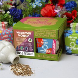 Kabloom Seedbomb Gift Set of 4 - Wildflower Wonders