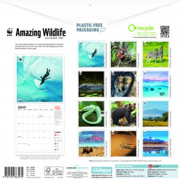 WWF Amazing Wildlife 2025 Wall Calendar