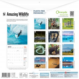WWF Amazing Wildlife 2027 Wall Calendar