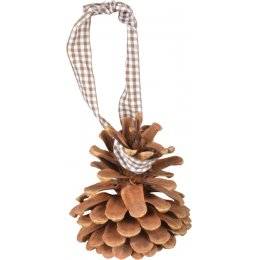 DIY Bird Food Pinecone
