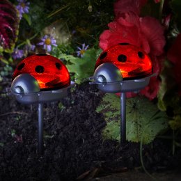 Solar Powered Ladybird Stake Light - Pack of 6
