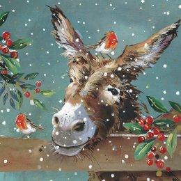 Donkey and Robin Charity Christmas Cards - Pack of 10