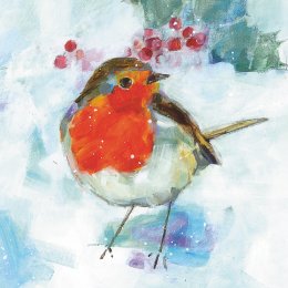 Robin and Holly Charity Christmas Cards - Pack of 10
