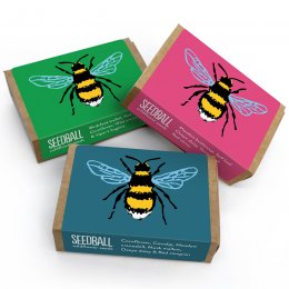 Seedball Bee Boxes - Pack of 3