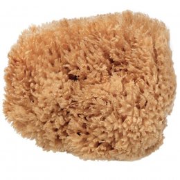 Beauty Kitchen The Sustainables Eco-Harvested Body Sea Sponge