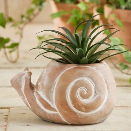 Terracotta Snail Planter