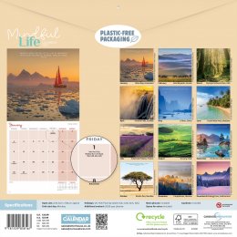 Mindful Life 2027 Wall Calendar