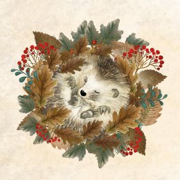 Amnesty International Christmas Cards - Little Hedgehog - Pack of 10