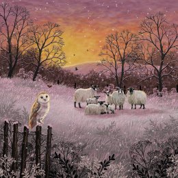 Amnesty International Christmas Cards - Winter Sunset - Pack of 10