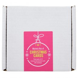 Amnesty International Christmas Card Multipack