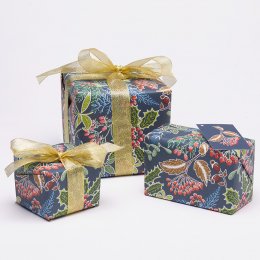 Recycled Wrapping Paper & Tags - Blue Frosted Leaves - Pack of 4