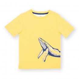 Kite Humpback T-Shirt
