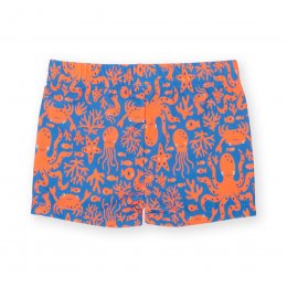 Kite Reef Time Swim Trunks
