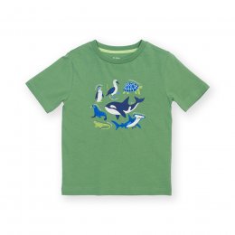 Kite Galapagos T-Shirt