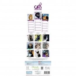 Cats Protection 2027 Slim Wall Calendar