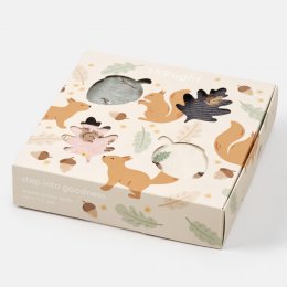 Thought Woodland Squirrel Organic Cotton Socks Gift Box - UK 4-7 - 4 Pairs