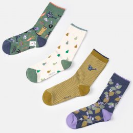 Thought Autumn Harvest Organic Cotton Socks Gift Box - UK 4-7 - 4 Pairs