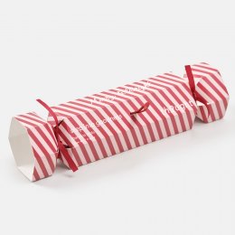 Thought Ribbon Stripe Bamboo Socks in Hangable Cracker Gift Box - UK 4-7 - 2 Pairs