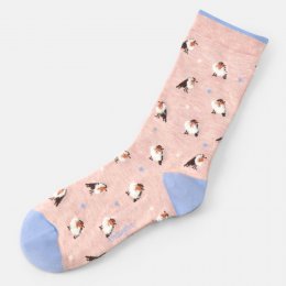 Thought Fluffy Robin Organic Cotton in Hangable Sock Gift Box - UK 4-7